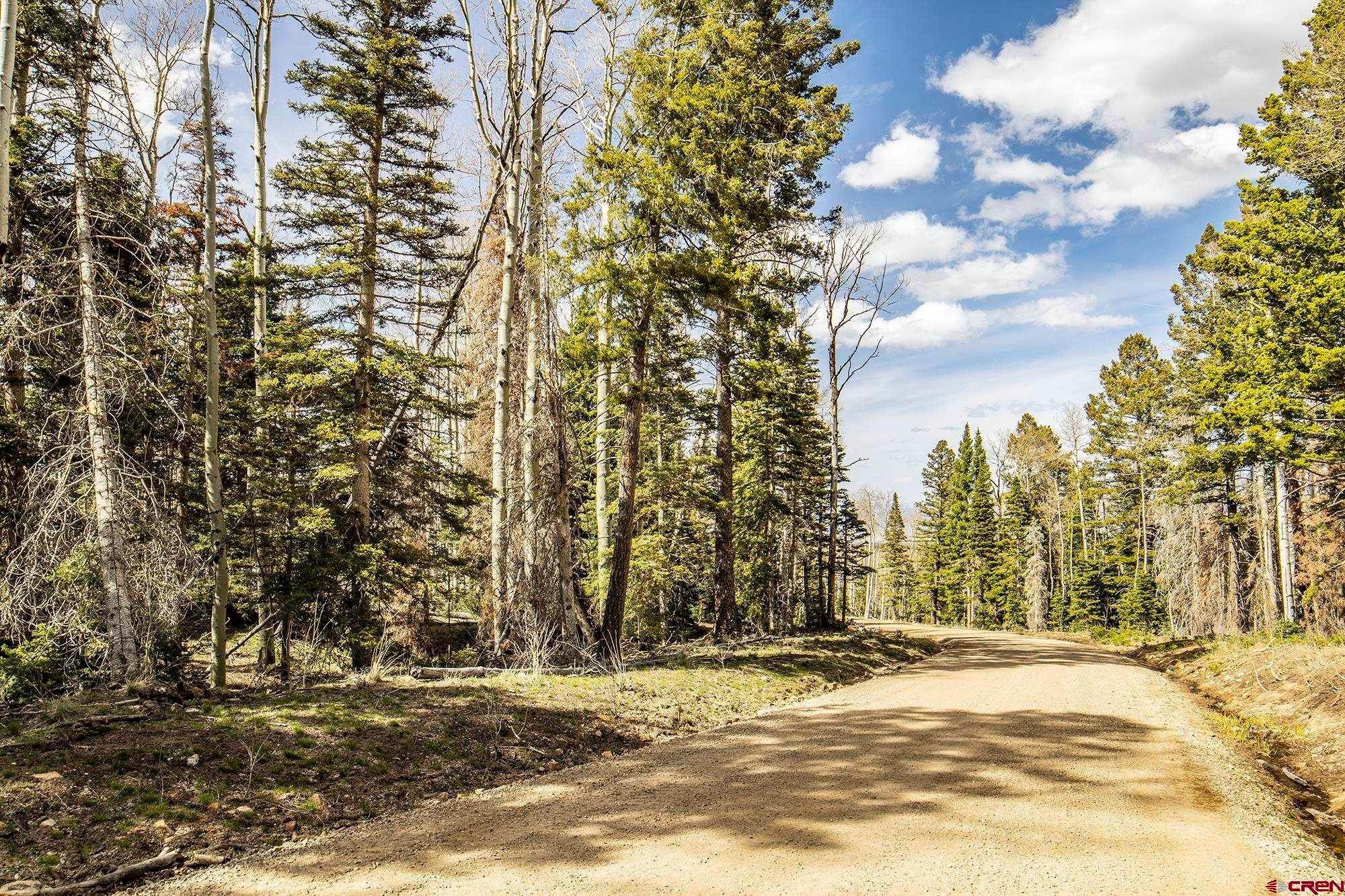 Residential for Sale at LOT 8B Black Bear Trail Ridgway, Colorado 81432 United States