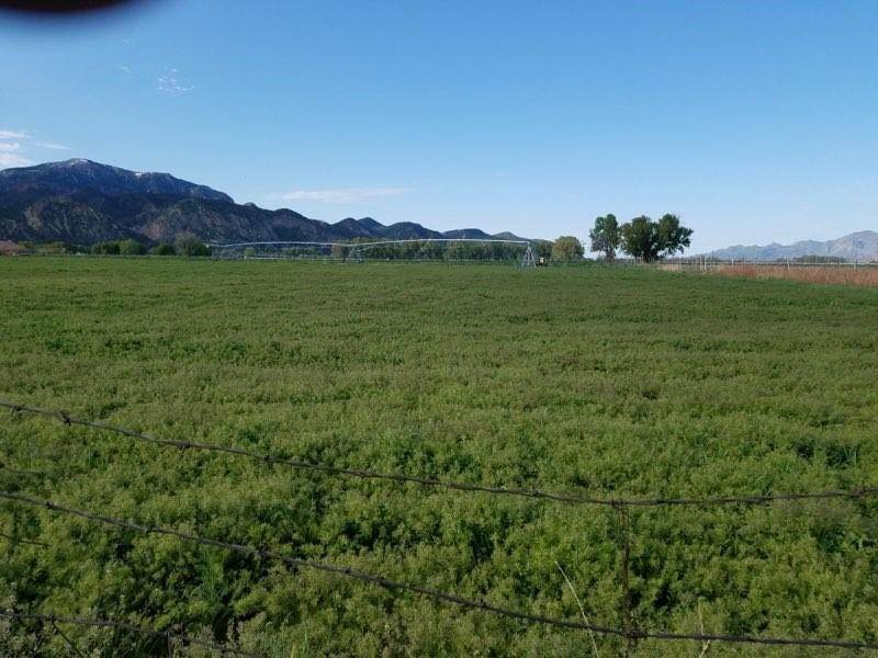 Land for Sale at Lot # 4 off N 400 West Kanarraville, Utah 84742 United States