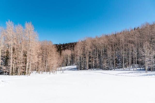 17. Land for Sale at 331 WHITE PINE CANYON Road Park City, Utah 84060 United States