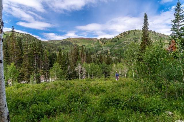 4. Land for Sale at 208 WHITE PINE CANYON Road Park City, Utah 84060 United States