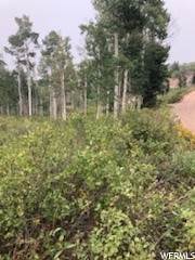 8. Land for Sale at 2481 FOREST MEADOW Road Wanship, Utah 84017 United States
