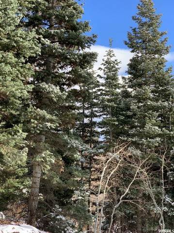 2. Land for Sale at 1560 TOLLGATE CANYON Road Park City, Utah 84098 United States