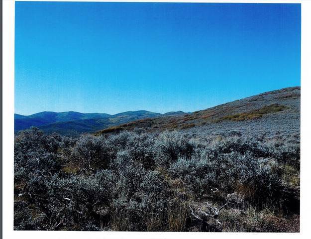 1. Land for Sale at TOP OF BROWNS CYN Peoa, Utah 84061 United States