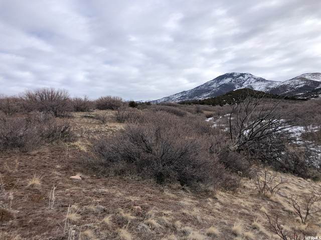 Land for Sale at 425 2000 Fillmore, Utah 84631 United States
