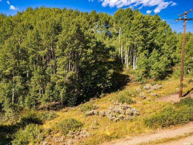 6. Land for Sale at 1741 WATER WAY Midway, Utah 84049 United States