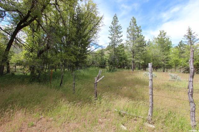 Land for Sale at 1786 CANYON Road Springville, Utah 84663 United States