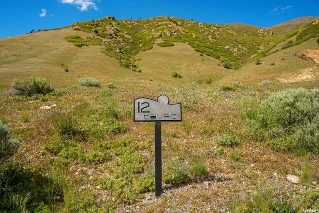 15. Land for Sale at 4053 CANYON ESTATE Drive Cottonwood Heights, Utah 84121 United States