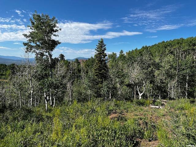 13. Land for Sale at 2484 FOREST MEADOW Road Wanship, Utah 84017 United States