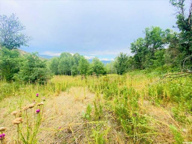 5. Land for Sale at 24 UPPER WHITTEMORE Drive Springville, Utah 84663 United States