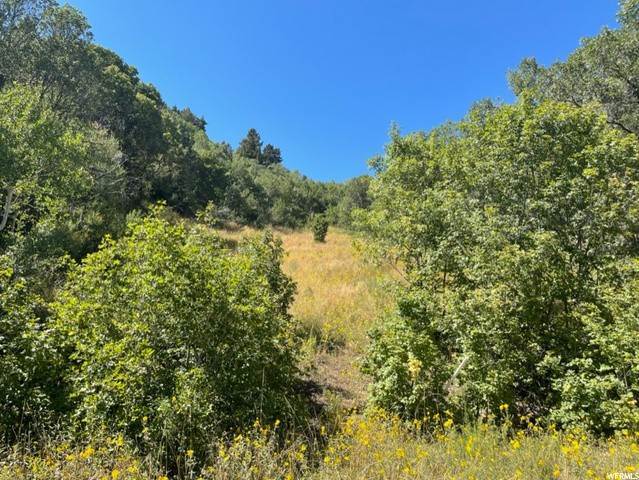 Land for Sale at 124 HIGH VIEW Drive Springville, Utah 84663 United States