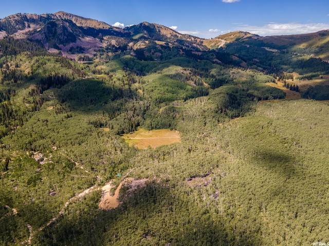 6. Land for Sale at 5397 PINECONE Road Midway, Utah 84049 United States
