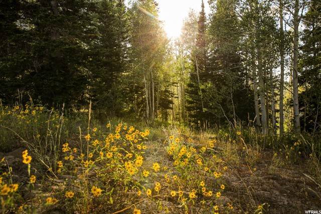 27. Land for Sale at 146 WHITE PINE CANYON Road Park City, Utah 84060 United States