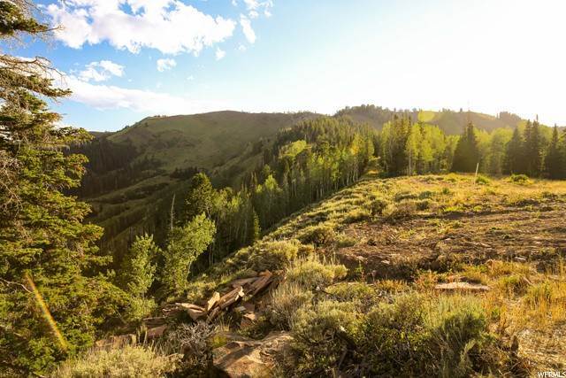 38. Land for Sale at 146 WHITE PINE CANYON Road Park City, Utah 84060 United States