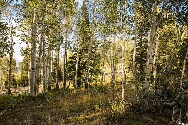 33. Land for Sale at 146 WHITE PINE CANYON Road Park City, Utah 84060 United States