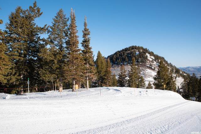33. Land for Sale at 238 WHITE PINE CANYON Road Park City, Utah 84060 United States