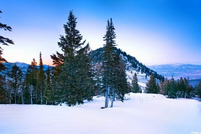 16. Land for Sale at 238 WHITE PINE CANYON Road Park City, Utah 84060 United States