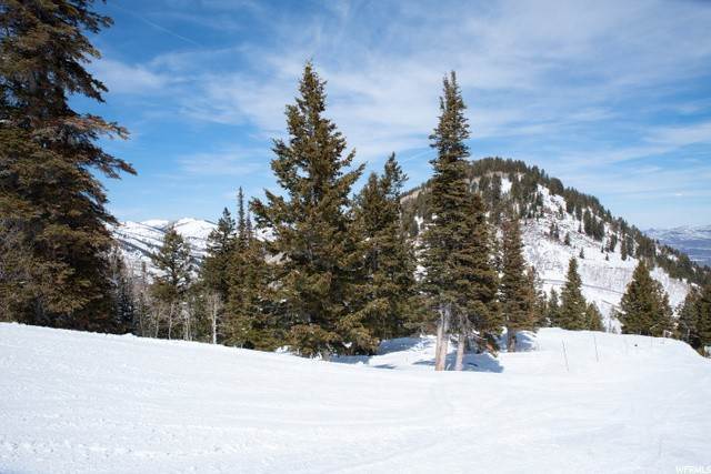36. Land for Sale at 238 WHITE PINE CANYON Road Park City, Utah 84060 United States