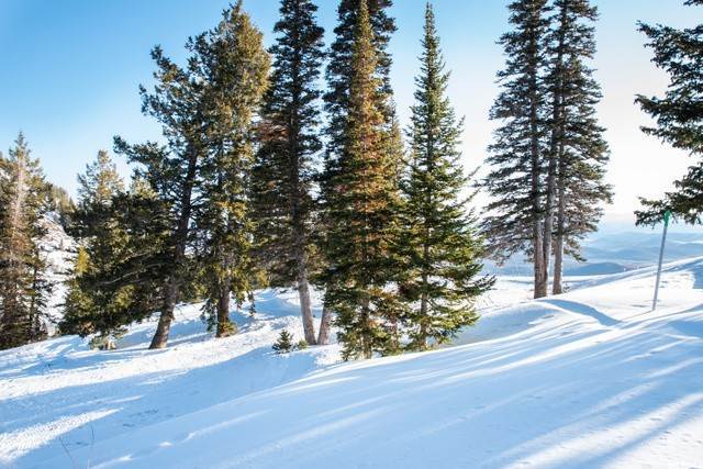 39. Land for Sale at 238 WHITE PINE CANYON Road Park City, Utah 84060 United States