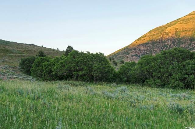 Land for Sale at 9037 MEADOW Drive Provo, Utah 84604 United States