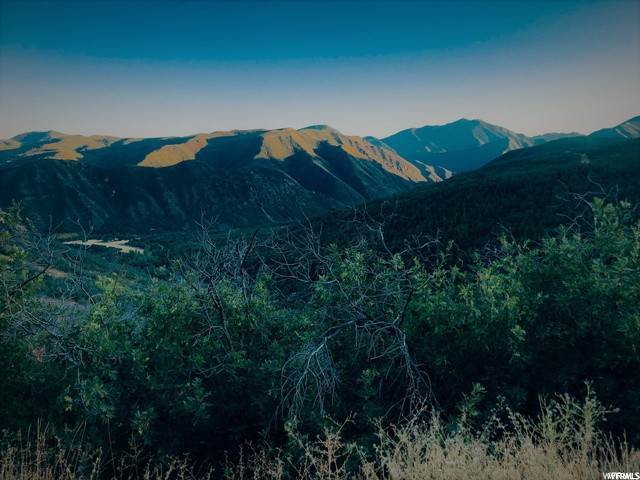 Land for Sale at 13 HAPPY HOLLOW Drive Springville, Utah 84663 United States