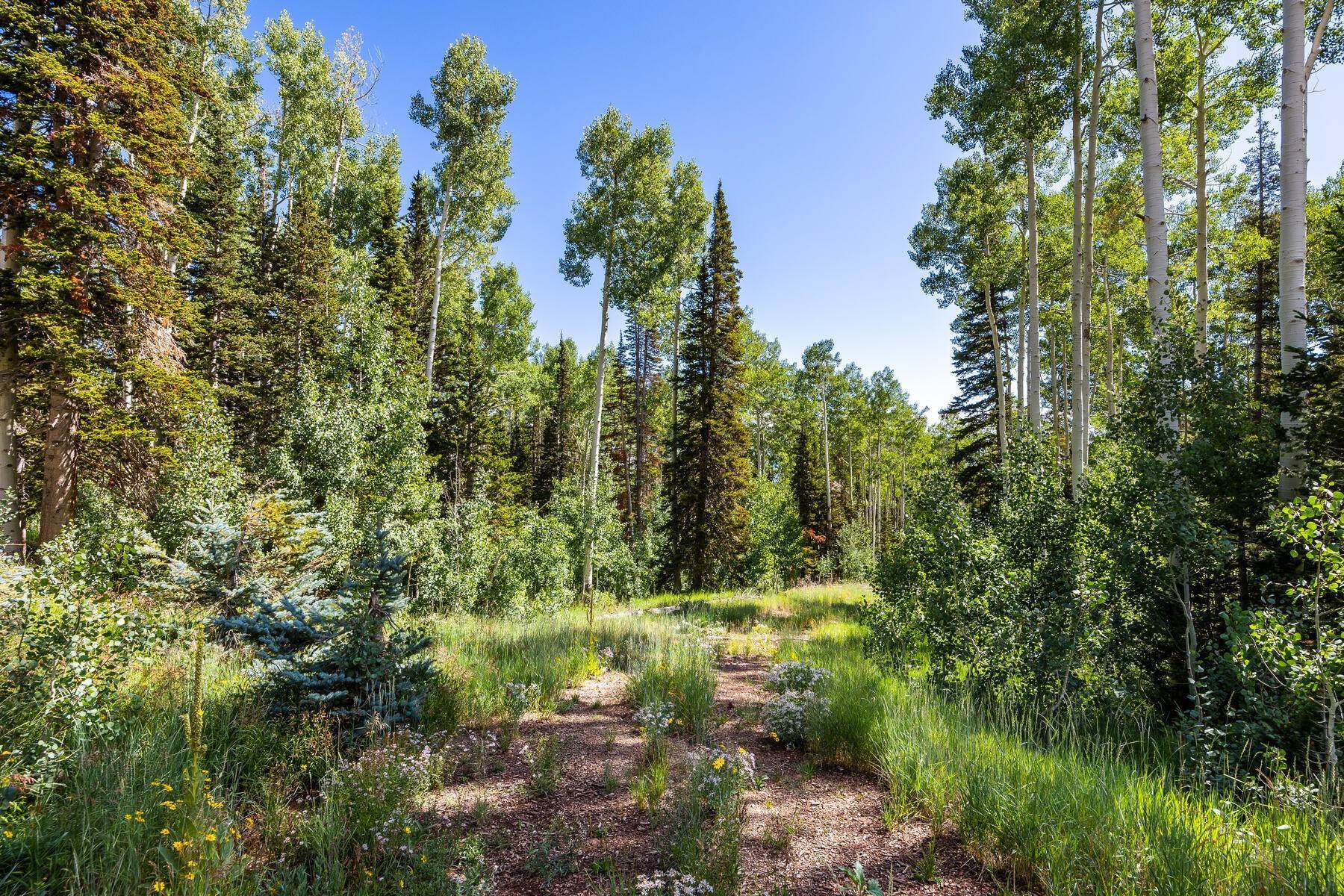 Land for Sale at Ski in, Ski Out Homesite in the Private Colony With Massive Views! 128 White Pine Canyon Road Park City, Utah 84060 United States