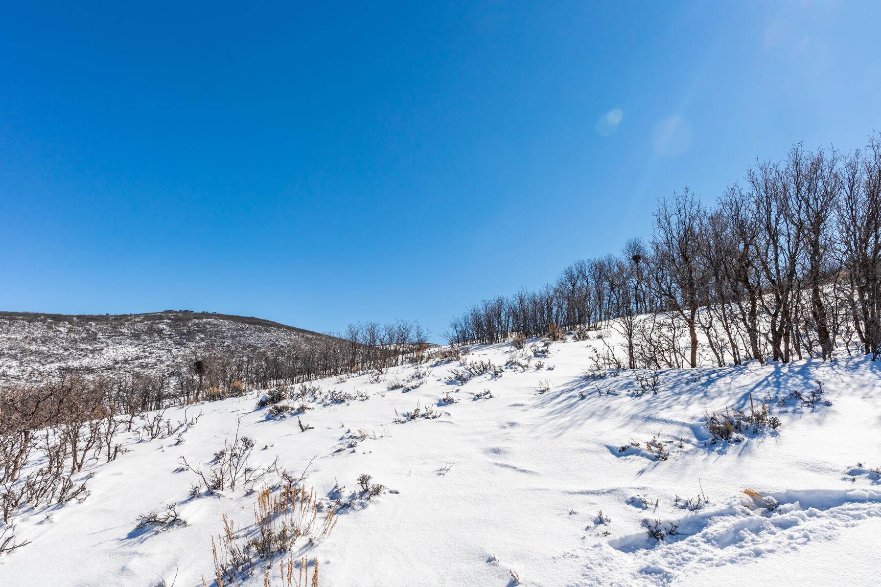 45. Land for Sale at Beautiful 5 Acre View Lot in Old Ranch Road Area! 4100 N Old Ranch Road Park City, Utah 84060 United States