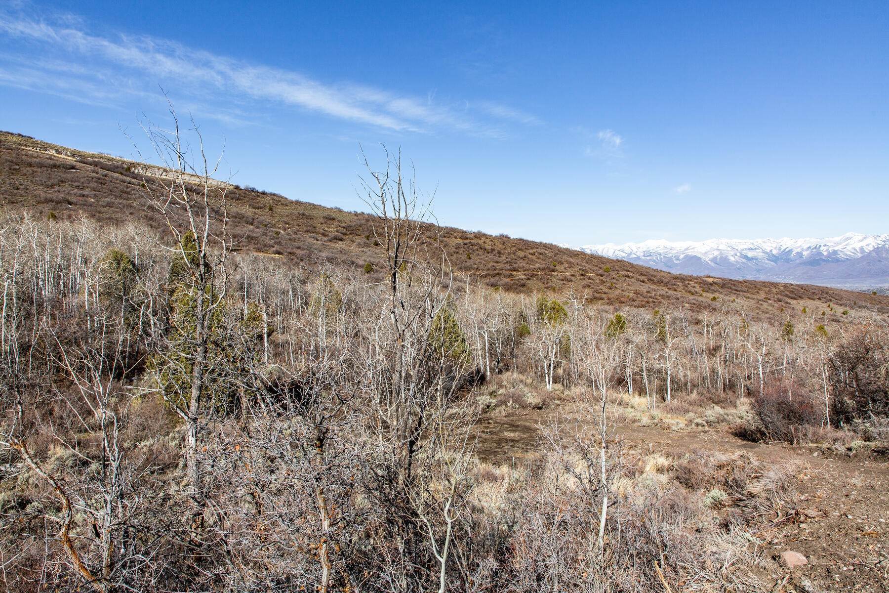 2. Land for Sale at Secluded 1.5 Acre Timber Lakes Homesite with Amazing Western Vistas 2148 S Westview Dr Heber, Utah 84032 United States