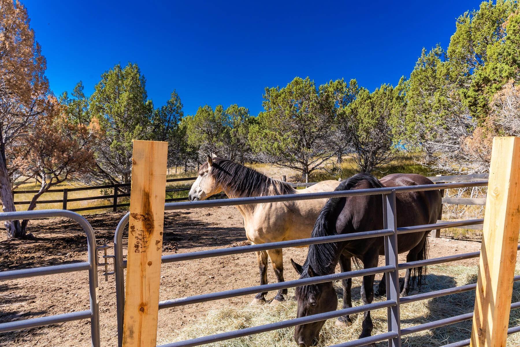 5. Land for Sale at Horse Friendly Estate Lot 1.3 Acres In The Crossings 2881 E Cedar Ridge Circle, Lot 142 Heber, Utah 84032 United States