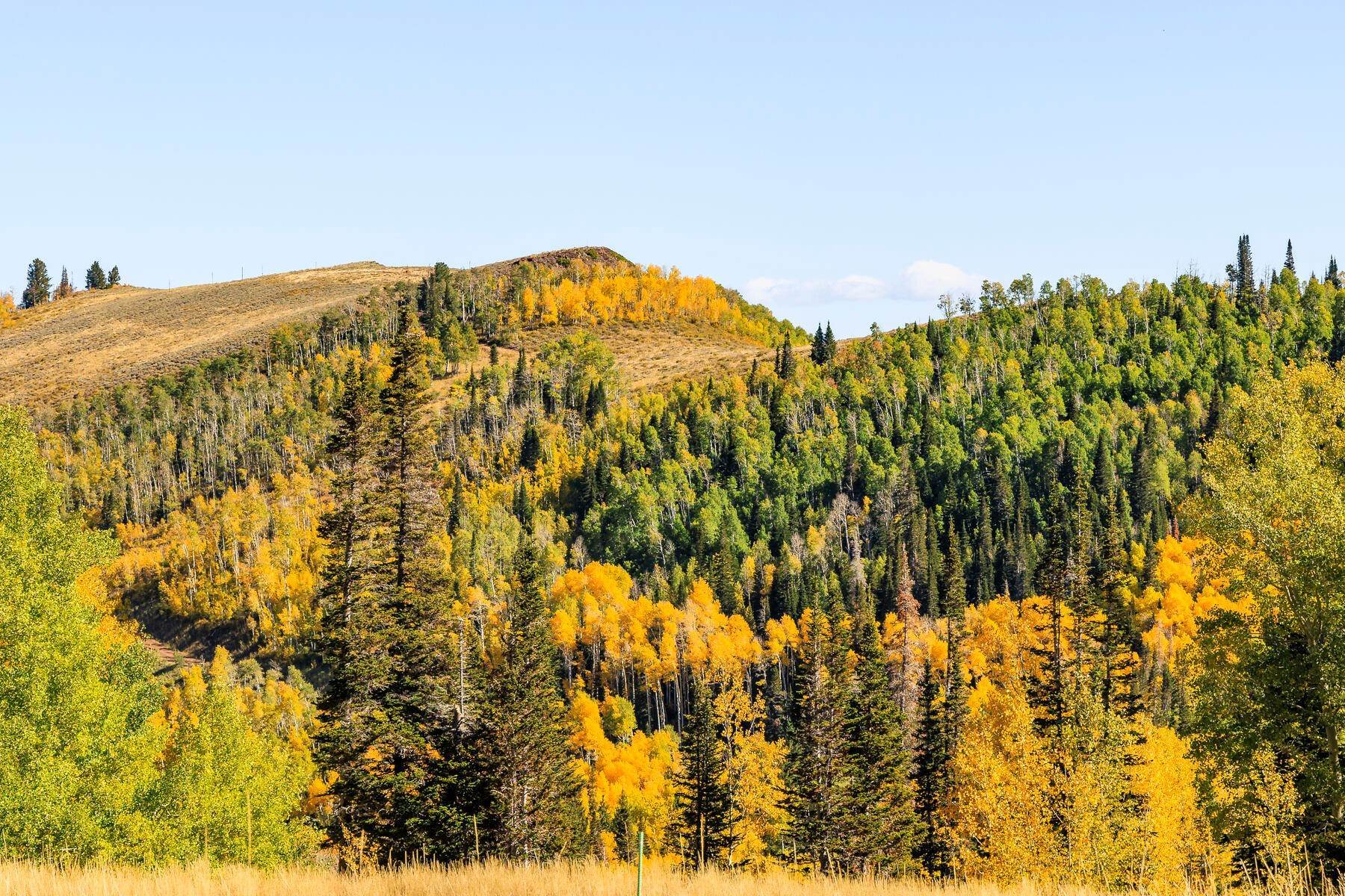 21. Land for Sale at Spectacular Colony Phase 5 Meadows Homesite with Panoramic Views 324 White Pine Canyon Rd, Lot #324 Park City, Utah 84060 United States