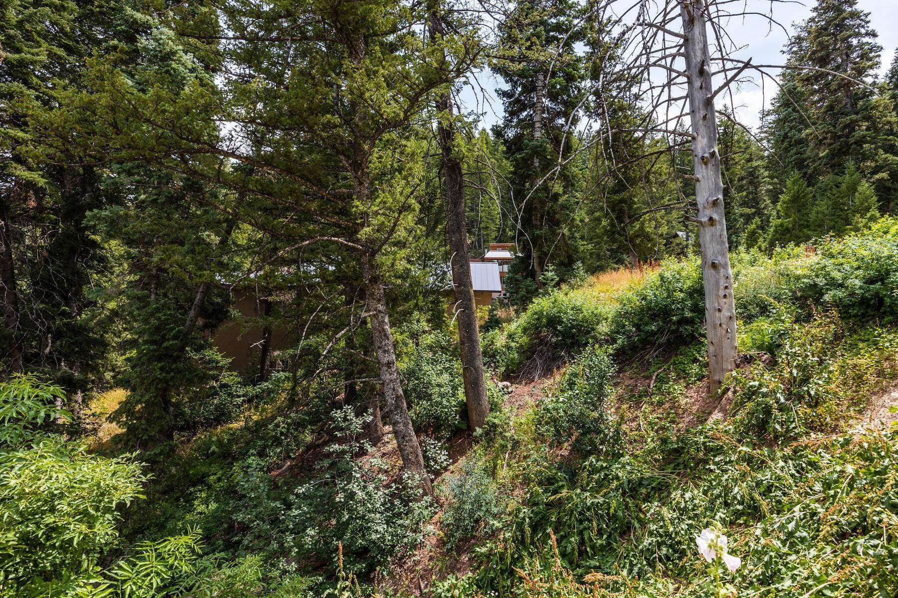 19. Land for Sale at Homesite Available for Your Summit Park Retreat 510 Upper Evergreen Dr, Lot 54 Park City, Utah 84098 United States