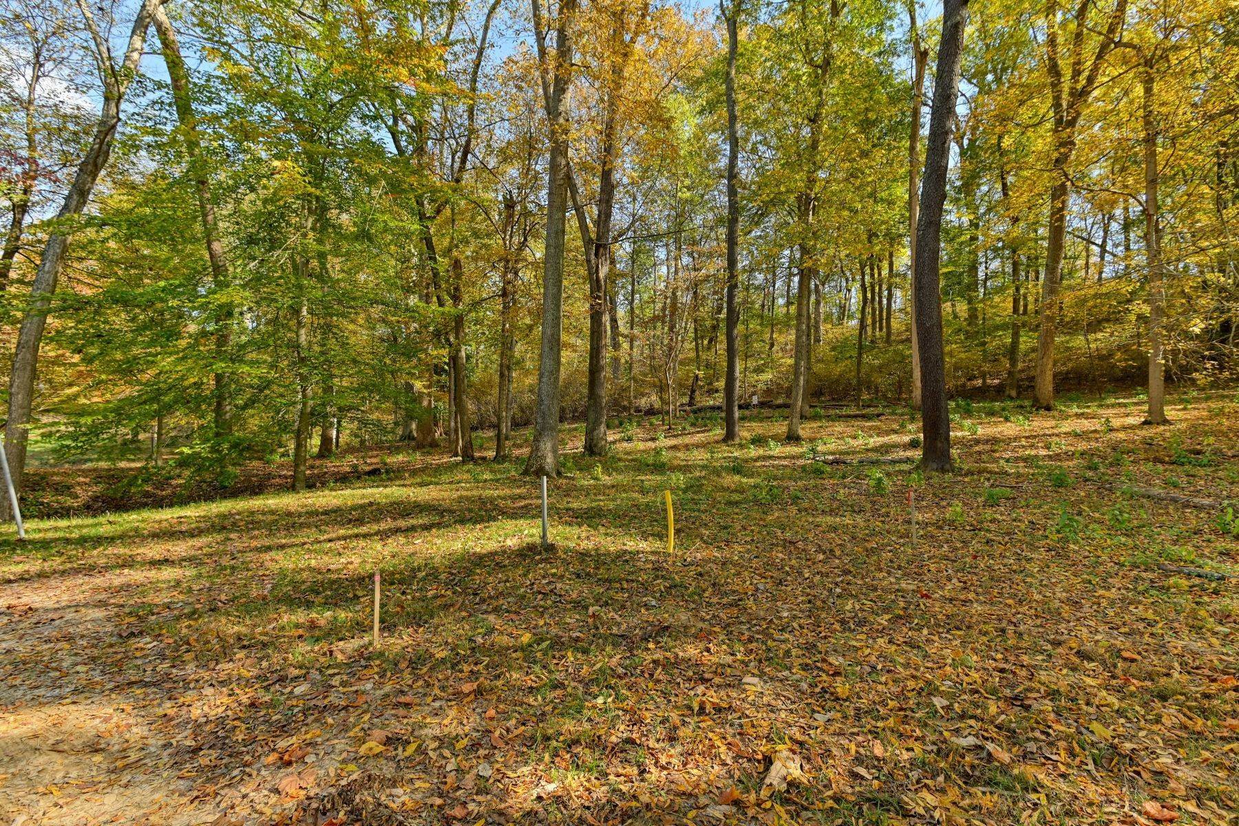 15. Land for Sale at 17 Fincastle Farms Trace Prospect, Kentucky 40059 United States
