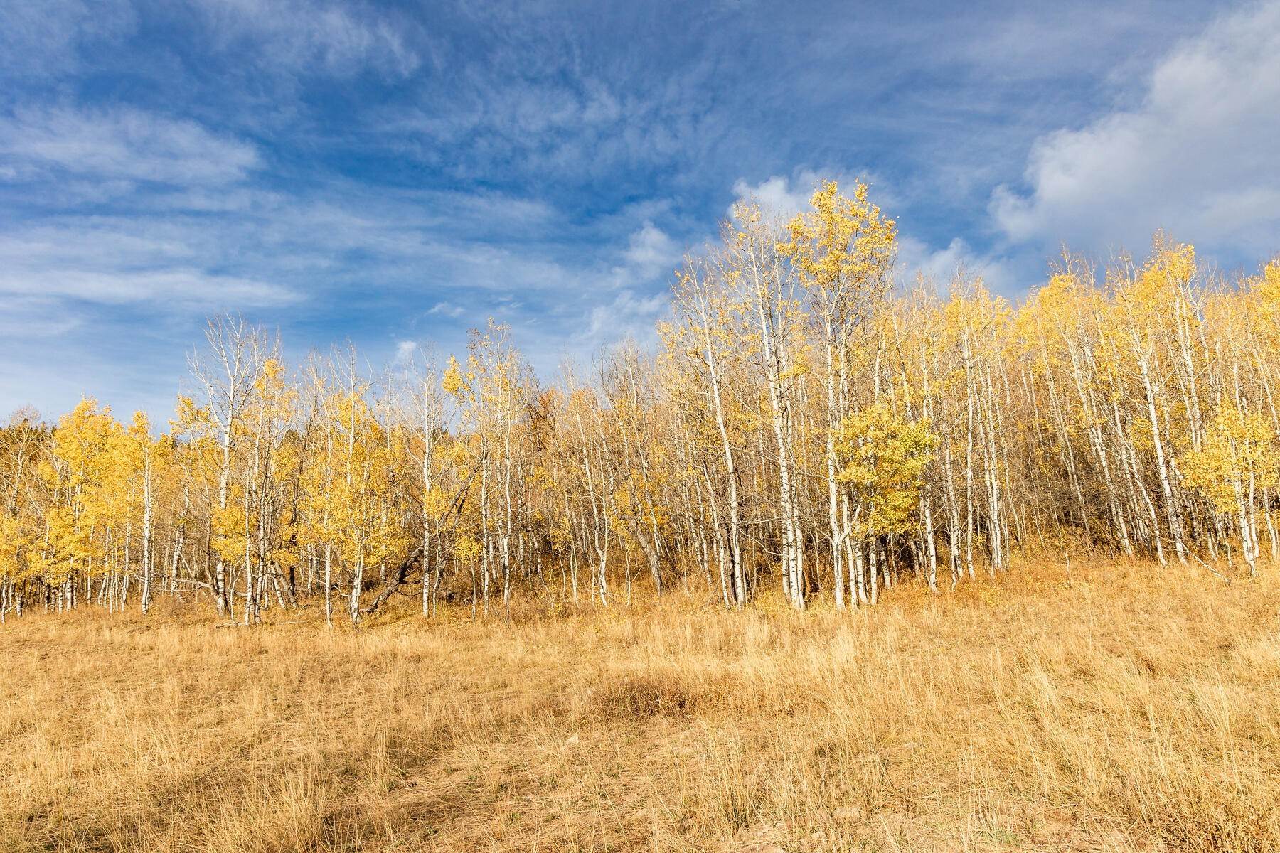 5. Land for Sale at Park City Stagecoach Estates Building Lot 10383 N Basin Canyon Road Park City, Utah 84098 United States