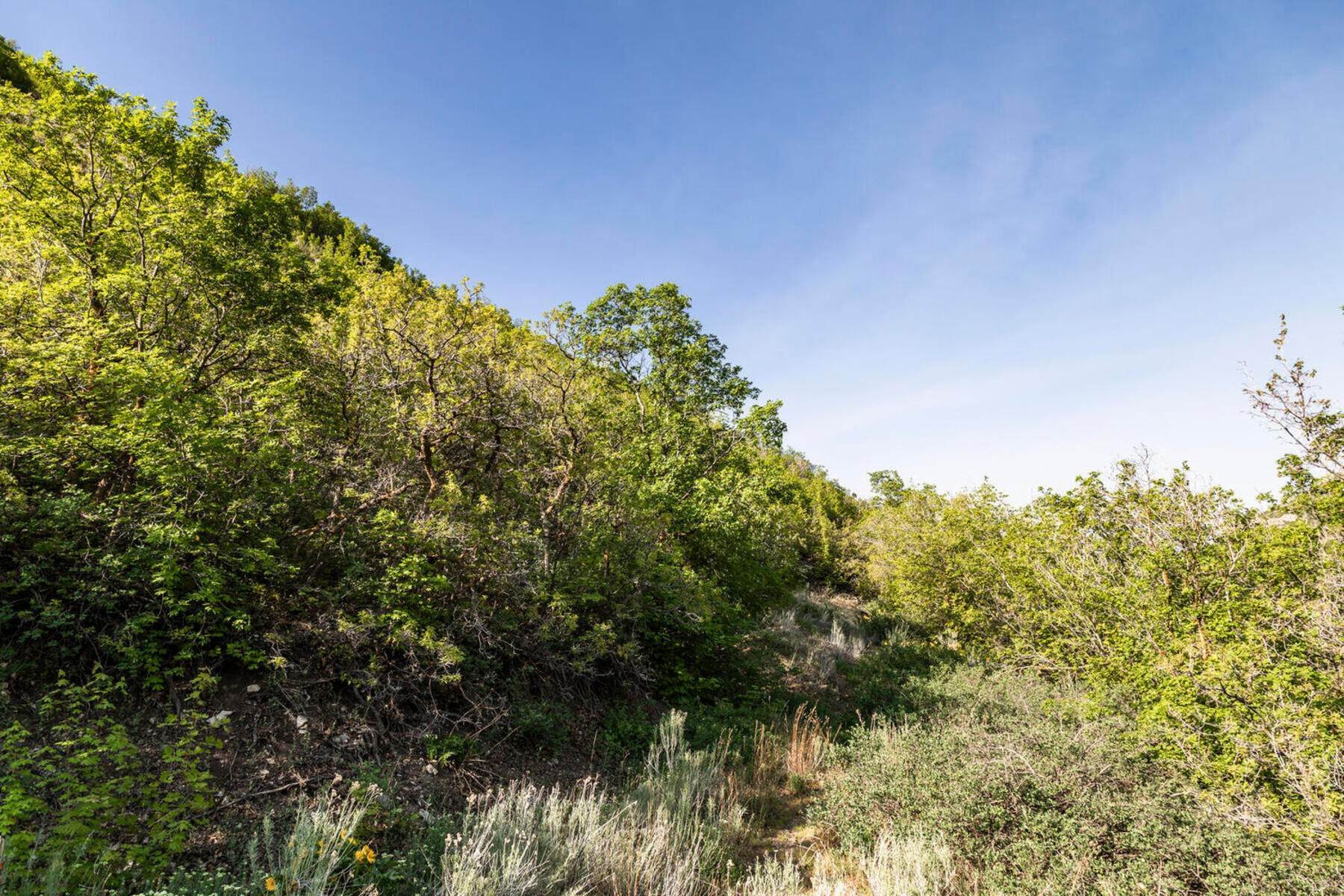 9. Land for Sale at Privacy and Seclusion 3910 Cove Rd Salt Lake City, Utah 84108 United States