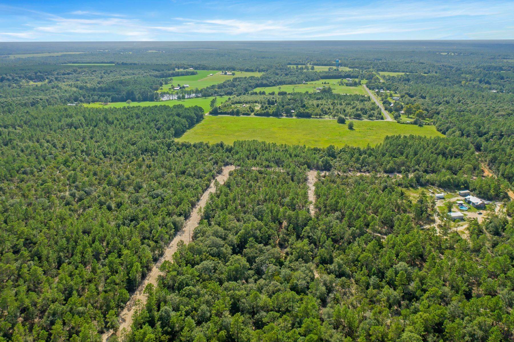 Land for Sale at 437+/- Acres in Northwest Florida TBD Sexton Road Defuniak Springs, Florida 32433 United States