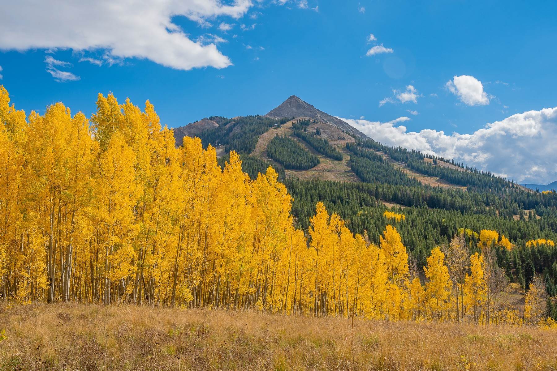 Land for Sale at F7 Prospect Drive - Upper Prospect F7 Prospect Drive Mount Crested Butte, Colorado 81225 United States