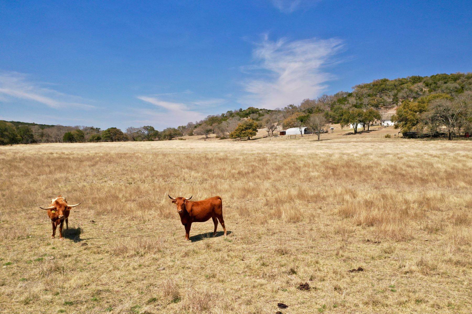 27. Farm and Ranch Properties for Sale at 2,269.85+/- Acres Less Ranch, Kendall County, Boerne, TX 78006 2,269.85+/- Acres Less Ranch, Kendall County, 650 Wild Turkey Blvd. Boerne, Texas 78006 United States
