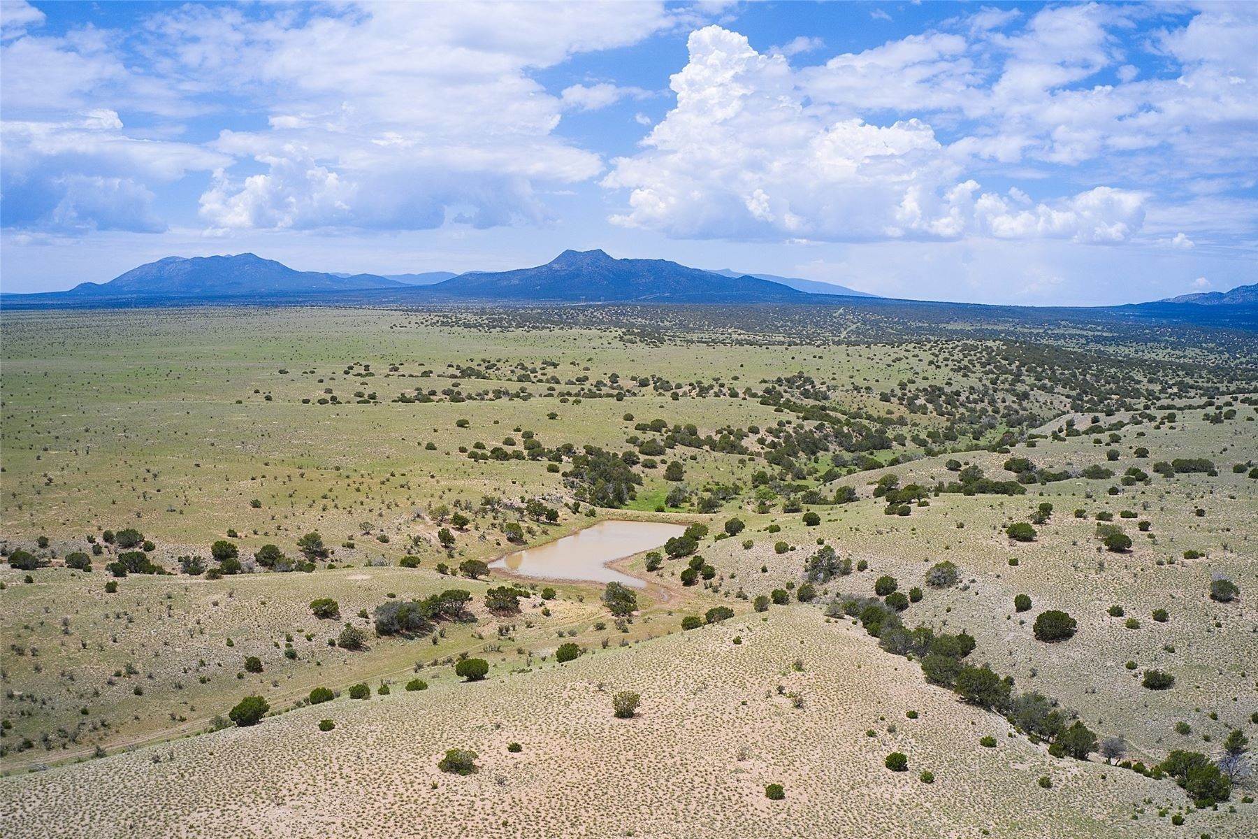 26. Farm and Ranch Properties for Sale at 221 Simmons Road 221 Simmons Stanley, New Mexico 87056 United States