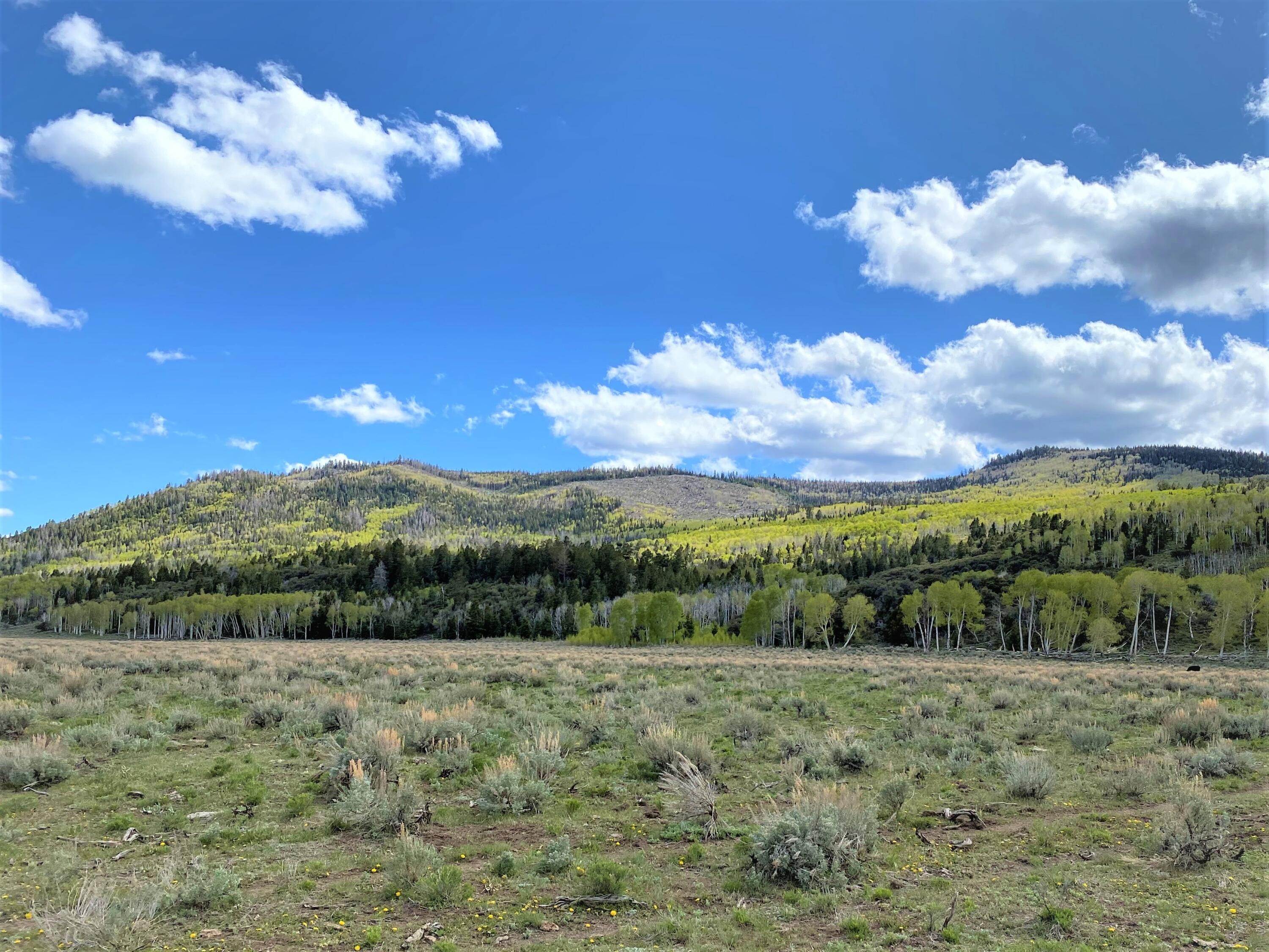 Land for Sale at 50 Mustang Lane Annabella, Utah 84711 United States
