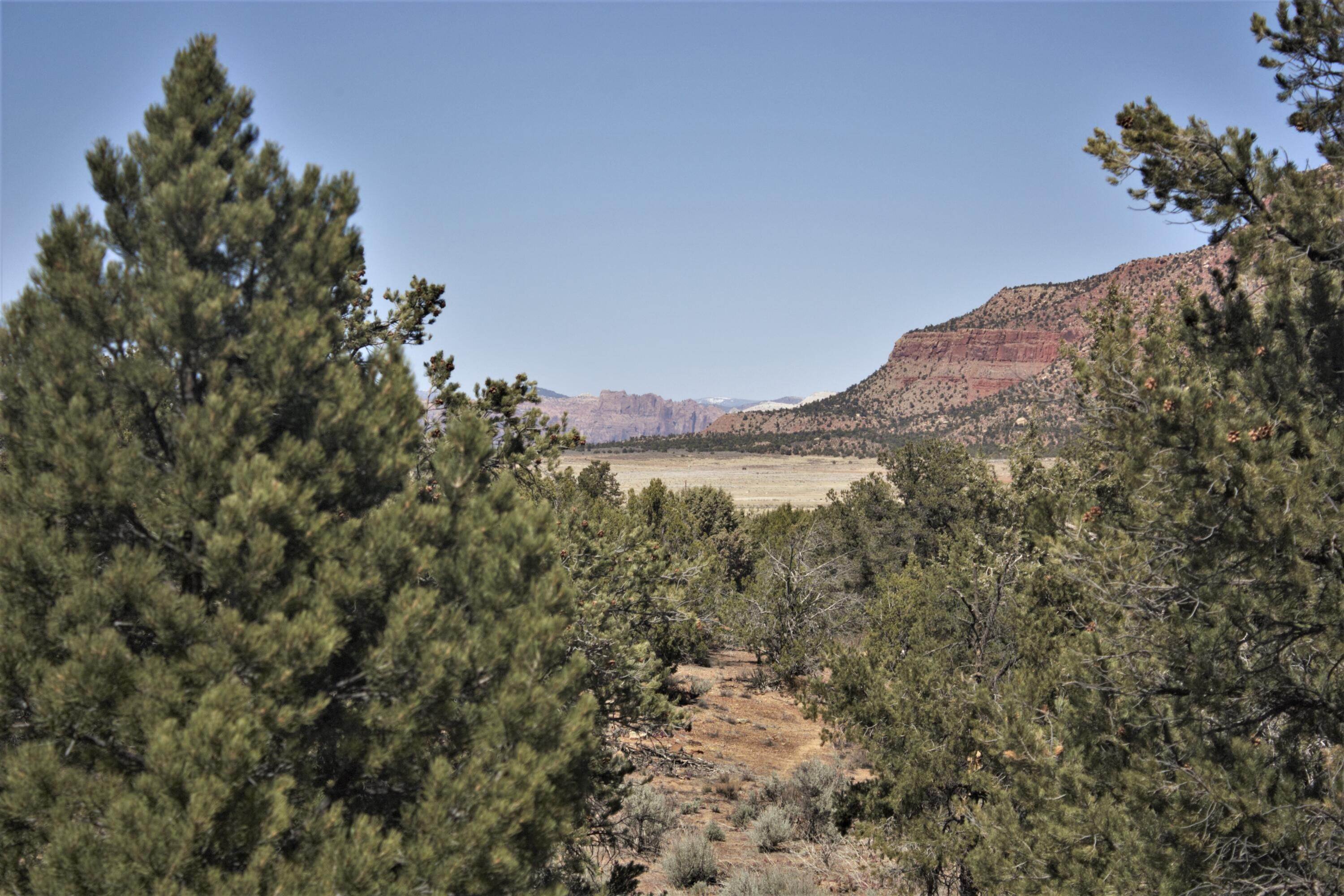 Land for Sale at 400 E Apple Valley, Utah 84737 United States