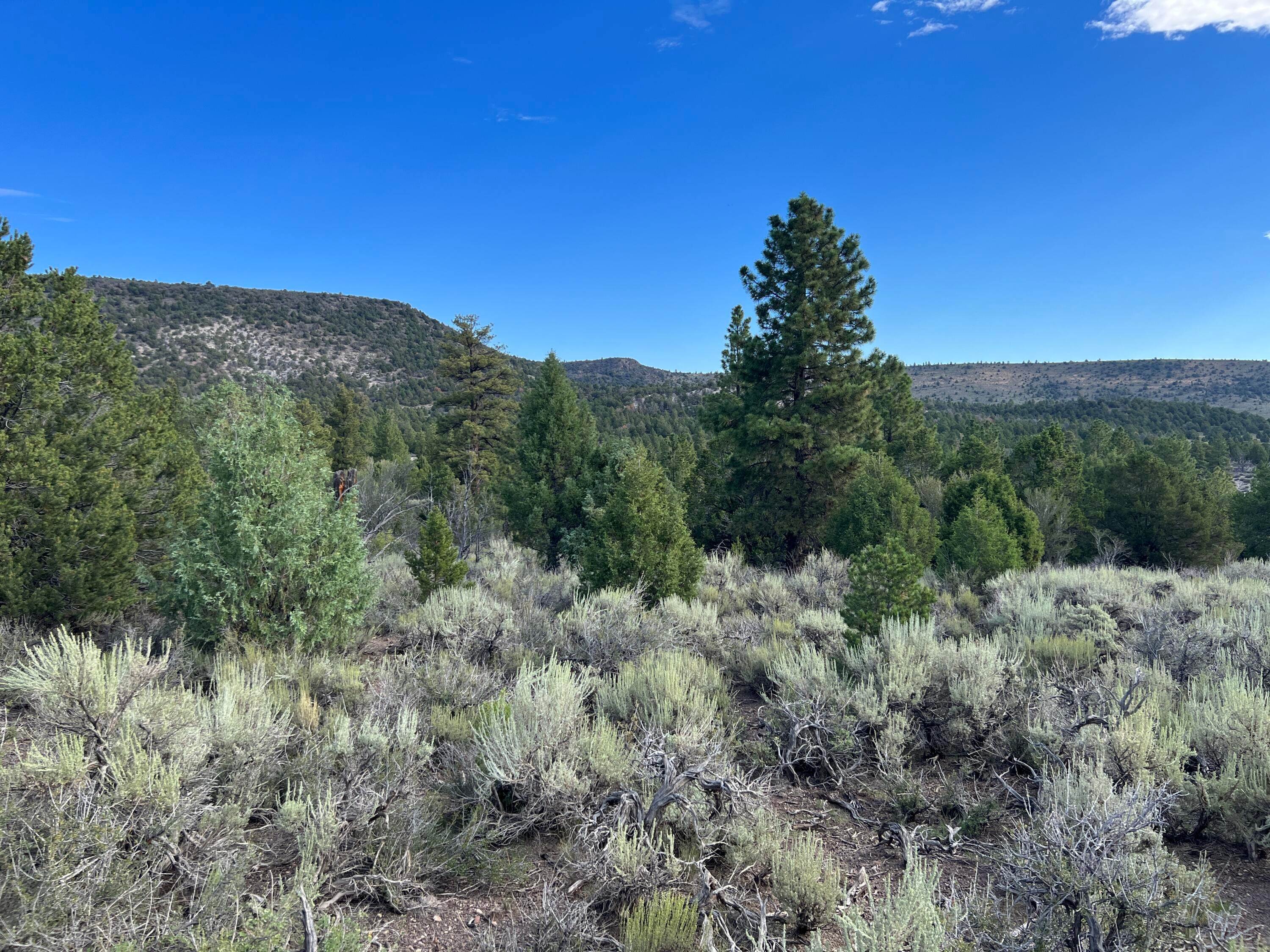 Land for Sale at 2.50 Ac. Parcel # 16-0081-1057 Panguitch, Utah 84759 United States
