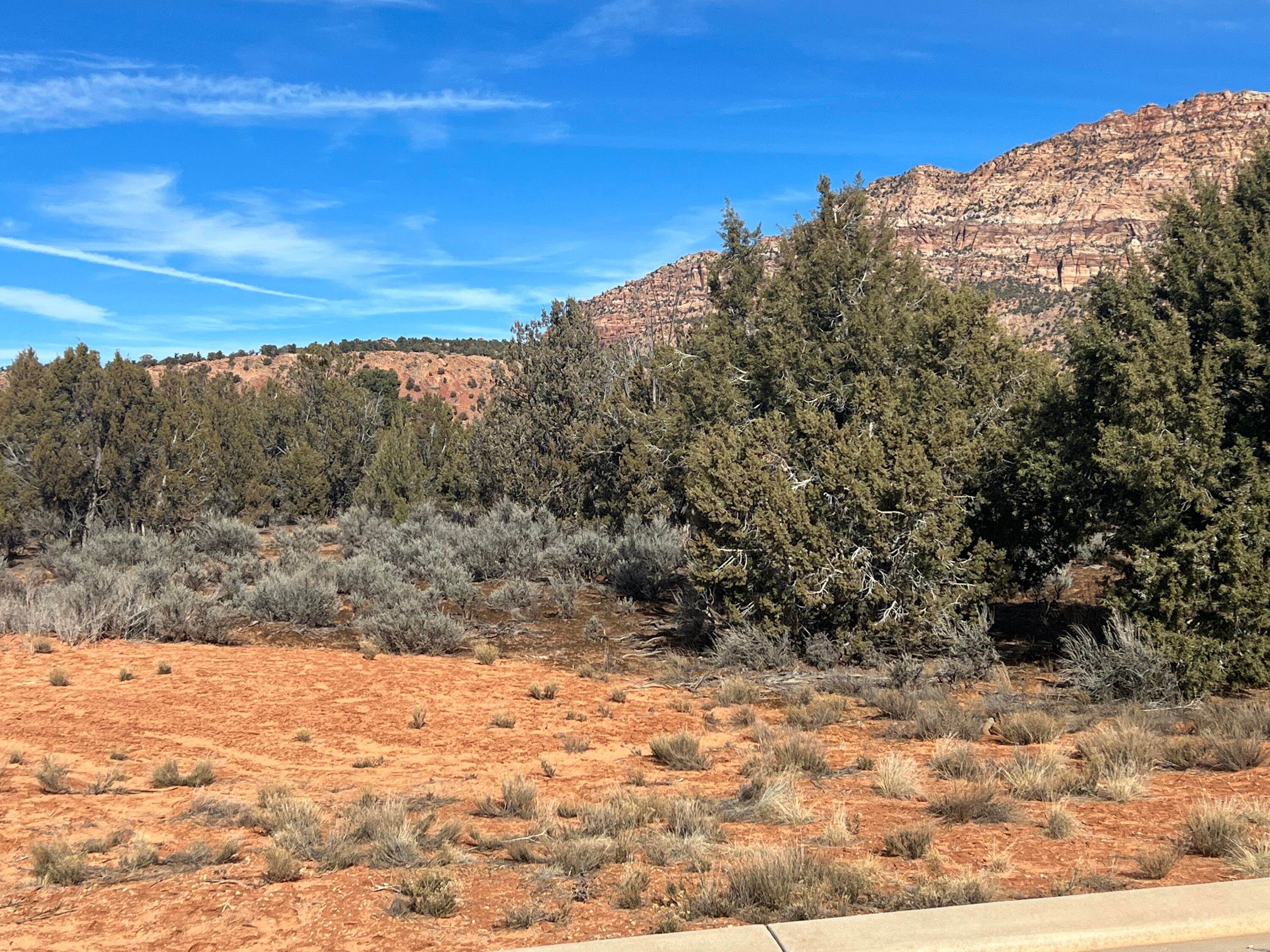 Land for Sale at 1295 Cedar Drive Apple Valley, Utah 84737 United States