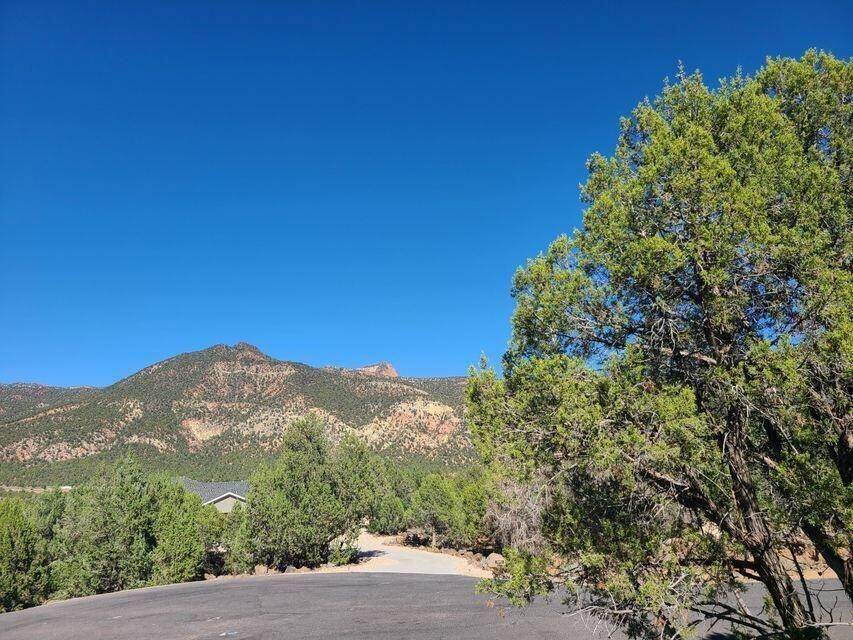Land for Sale at Ash Cove New Harmony, Utah 84757 United States
