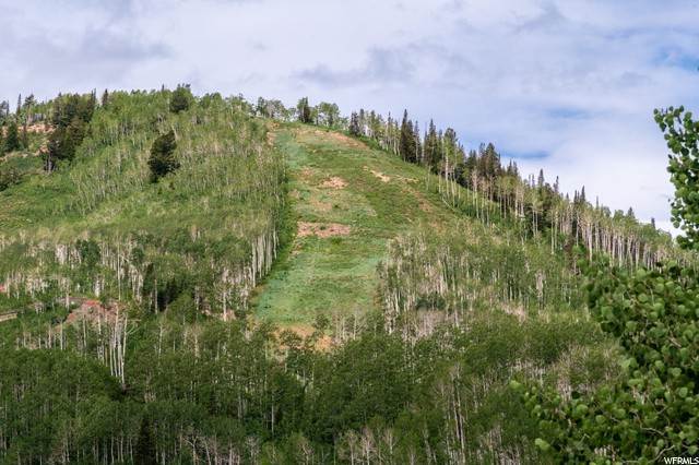 6. Land for Sale at 208 WHITE PINE CANYON Road Park City, Utah 84060 United States