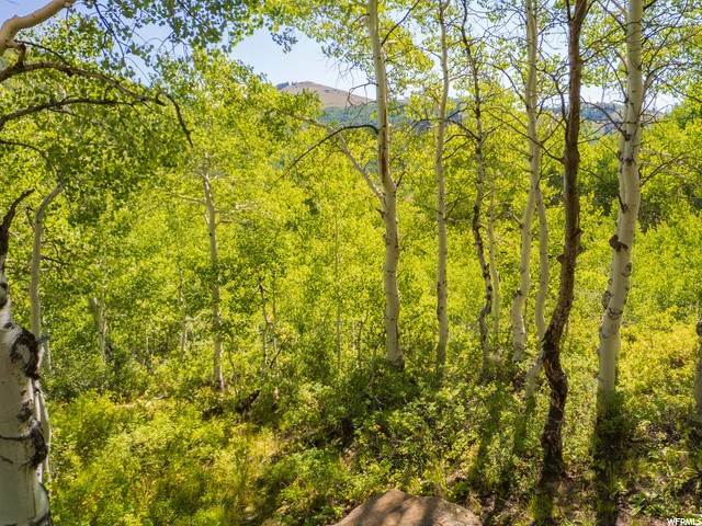 Land for Sale at 1741 WATER WAY Midway, Utah 84049 United States