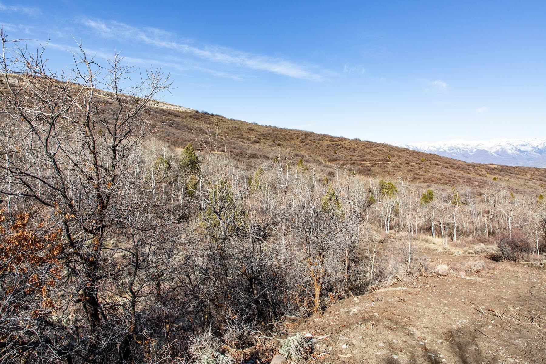Land for Sale at Secluded 1.8 Acre Timber Lakes Homesite with Amazing Western Vistas 2136 S Westview Dr, Lot 1340 Heber, Utah 84032 United States
