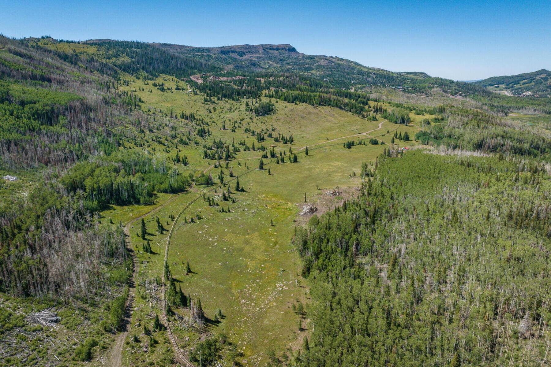 9. Land for Sale at Beautiful New Ski-In/Ski-Out Community In Brian Head Aspen Meadows, Lot 50 Brian Head, Utah 84719 United States
