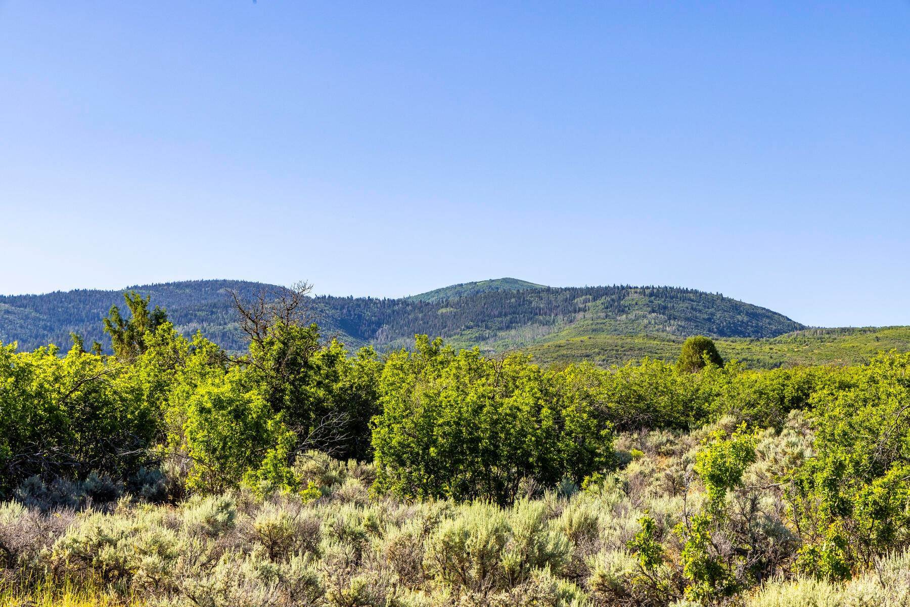 7. Land for Sale at More Than 692 Acres in Rather Serene Settings! 2120 Little Valley Road Wallsburg, Utah 84082 United States