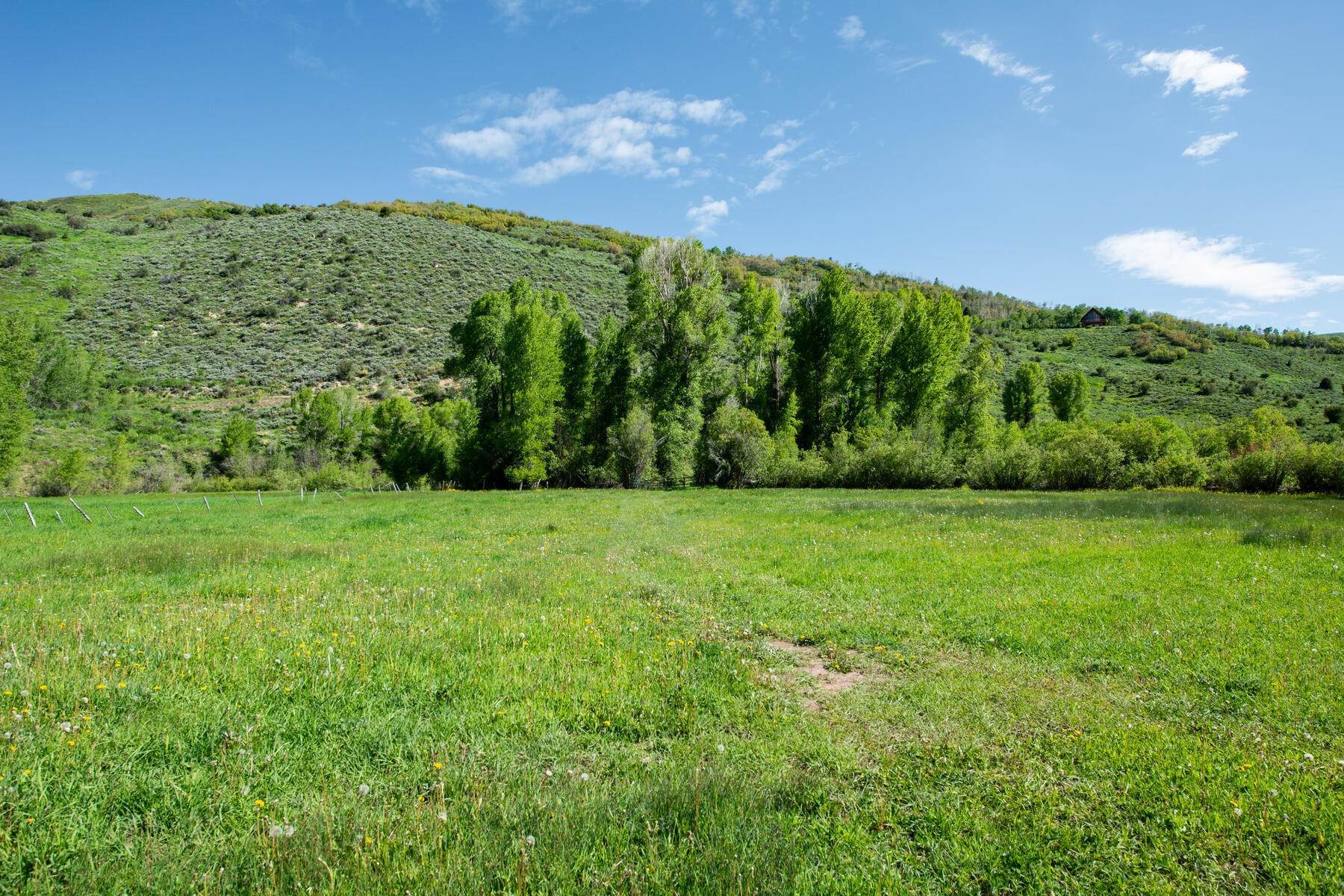 8. Land for Sale at 38.37 Acre Ranch in Weber Canyon / Weber River Frontage 5050 East Weber Canyon Rd Oakley, Utah 84055 United States