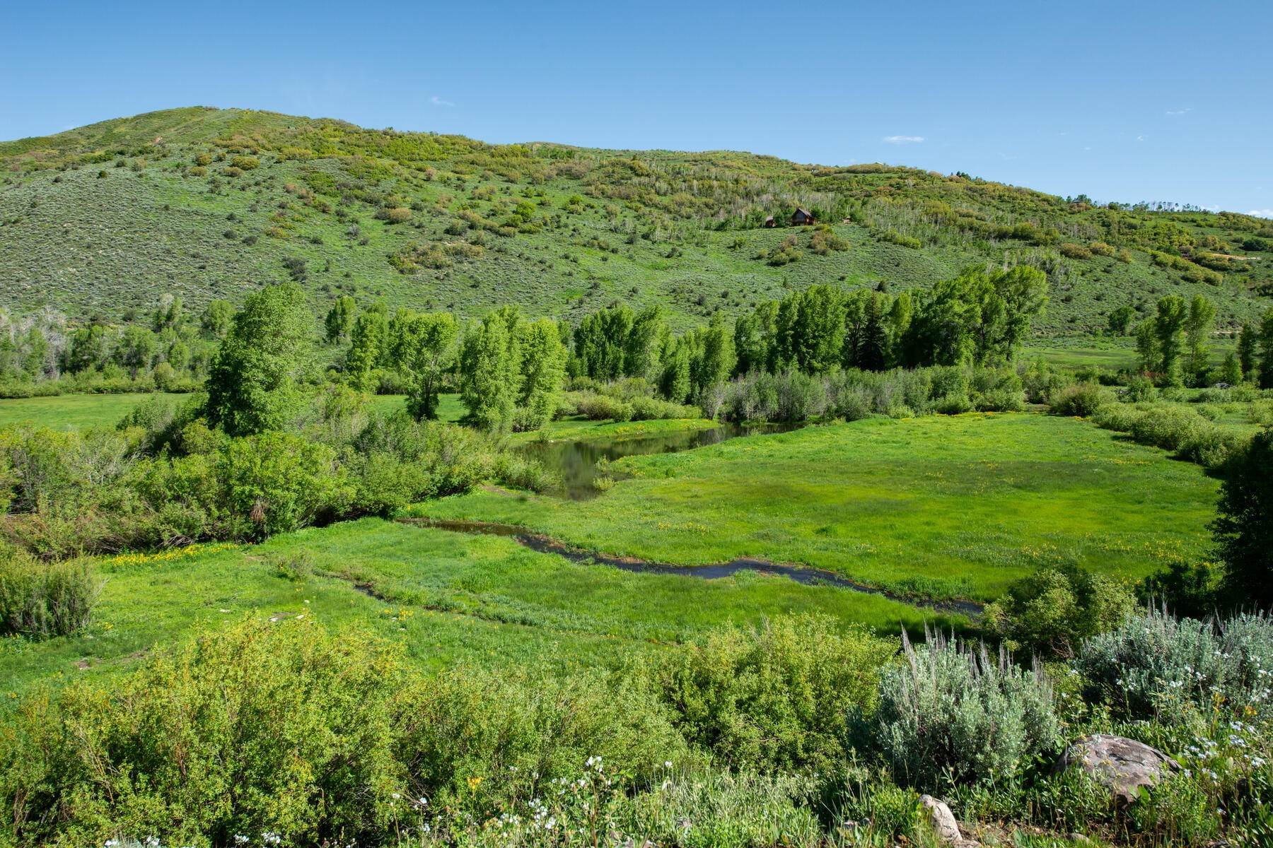 3. Land for Sale at 38.37 Acre Ranch in Weber Canyon / Weber River Frontage 5050 East Weber Canyon Rd Oakley, Utah 84055 United States