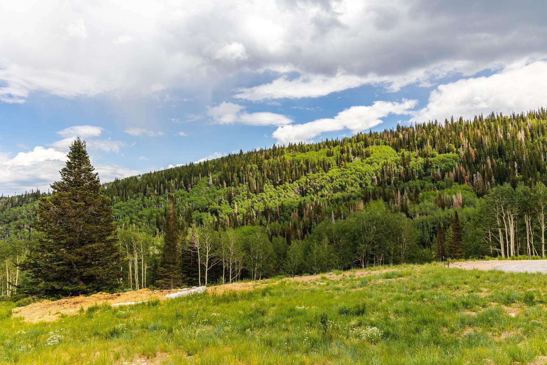 37. Land for Sale at Spectacular Colony Phase 5 Meadows Homesite with Panoramic Views 324 White Pine Canyon Rd, Lot #324 Park City, Utah 84060 United States